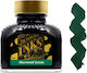 Diamine Replacement Ink for Pen Sherwood Green Fountain Pen Ink 700987827743 80ml