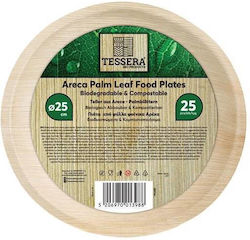 Tessera Disposable Plate Ø23cm 25pcs