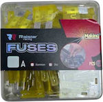 Car Fuse Set 20A 100pcs