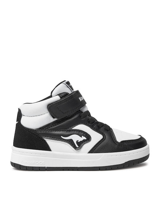 Kangaroos