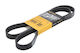 Contitech V-belt