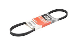 Gates Grooved Transmission Belt