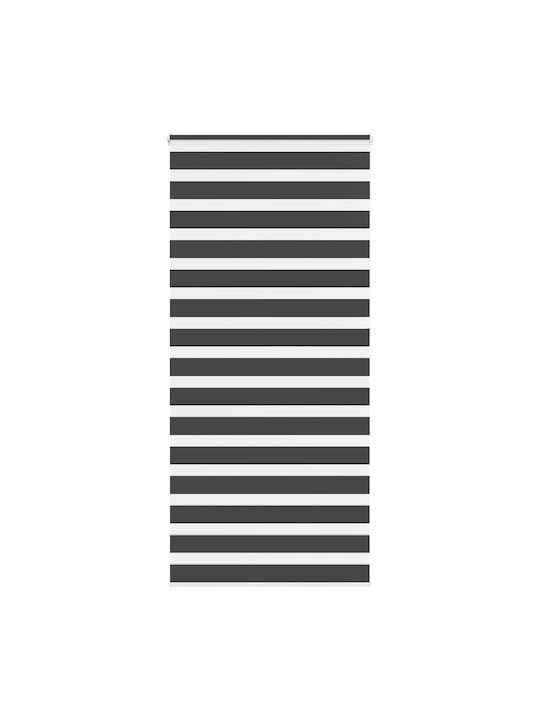 vidaXL Roller Blinds Partial Blackout Black W11...