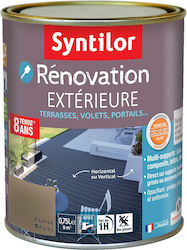 Syntilor Floor Painting