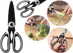 Stainless Steel Kitchen Scissor