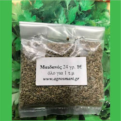 Agrosmart Seeds Parsley 500gr AGR-MAID003