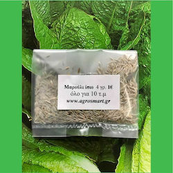 Agrosmart Seeds Lettuce 4gr AGR-MAR011