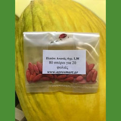 Agrosmart Seeds Melon 100gr AGR-PEP00300