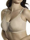 Μπεζ Σουτιέν Μαστεκτομής