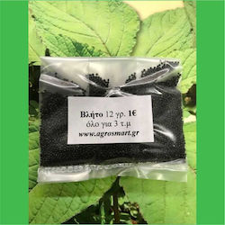 Agrosmart Seeds Amaranthus Blitum 12gr