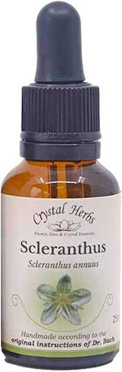 Crystal Herbs Σκλήρανθος (scleranthus) Ανθοΐαμα 25ml 1τμχ