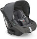 Inglesina Darwin Infant Autositz i-Size mit Isofix Velvet Grey