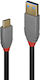 Lindy USB 2.0 Cable USB-C male - USB-C 100W PD Μαύρο 2m 36913