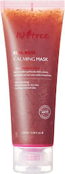 Isntree Real Μάσκα Προσώπου 100ml Isntree Real Μάσκα Προσώπου 100ml