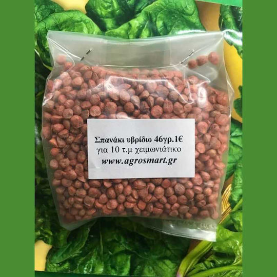 Agrosmart Σπόροι Σπανακιού 500gr