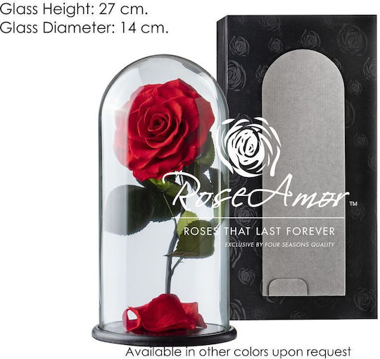 Konservierte Rosen Kuppel Aurora Rot 02 Großpackung