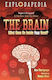 Explodapedia The Brain Ben Martynoga