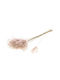 Αποξηραμένο Φυτό Fluffy Reed Grass Natural Pink Fankon Flowers
