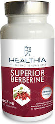 Healthia Superior Berberine 808mg 60 κάψουλες Κανέλα Healthia Superior Berberine 808mg 60 κάψουλες Κανέλα