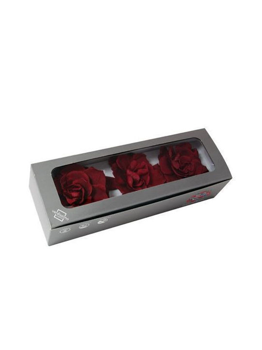 Ewige Rose Burgundy in Box 3Stück Fankon Flowers
