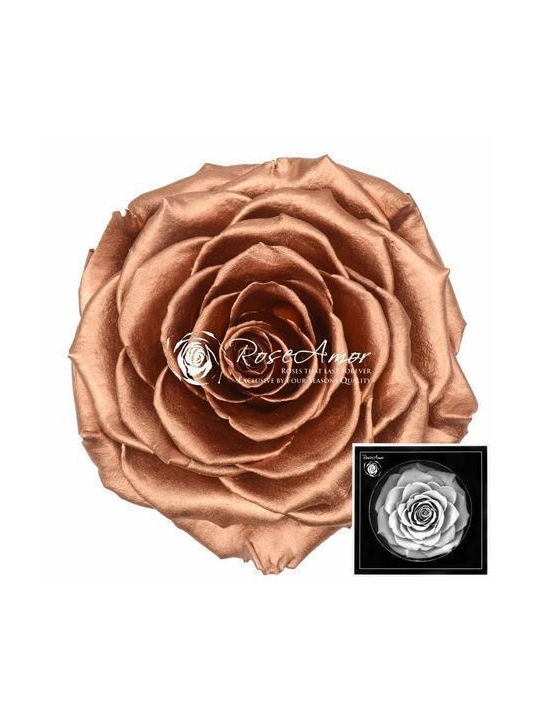 Παντοτινό Τριαντάφυλλο Metallic Fankon Flowers