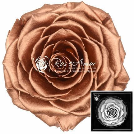 Παντοτινό Τριαντάφυλλο Metallic Fankon Flowers