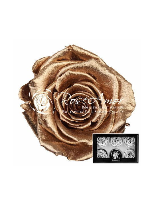 Παντοτινό Τριαντάφυλλο Χρυσό 6τμχ Fankon Flowers
