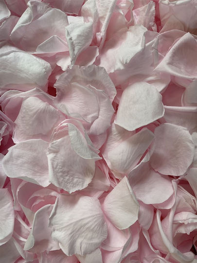 Fankon Flowers Rosenblätter für Party mit Thema "Ehe" Petals-2kg Pink99