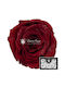 Ewige Rose Rot 6Stück Fankon Flowers