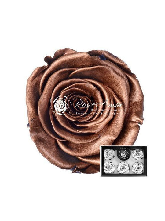 Ewige Rose Metallic 6Stück Fankon Flowers