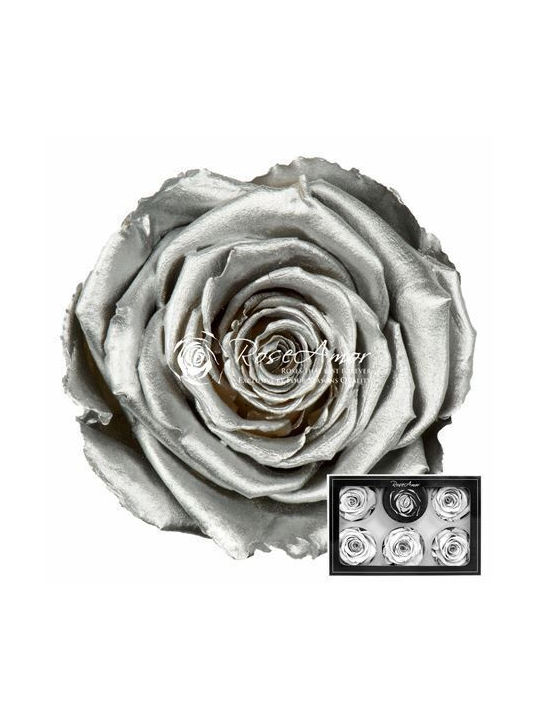 Ewige Rose Metallic Silver 6Stück Fankon Flowers