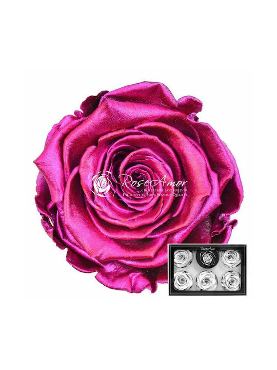Ewige Rose Metallic Silver Pink White 6Stück Fankon Flowers