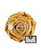 Ewige Rose Pearl Toffee 6Stück Fankon Flowers