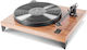 Gold Note Valore 425 Plus Πικάπ με Belt Drive I...