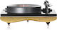 Gold Note Mediterraneo Pick-Up Gold Leaf