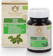 Maharishi Ayurveda Bio Tulsi 60 ταμπλέτες