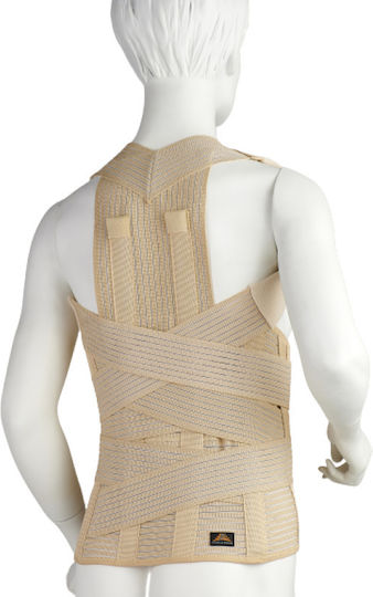 Medical Brace Θ.ο.μ.σ.ς Trunk Splint Beige