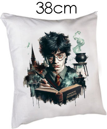 Harry-Potter-Kissen 38 cm