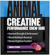 Animal Animal Creatine Chews Μονοϋδρική Κρεατίνη με Γεύση Grape 4 μασώμενες ταμπλέτες