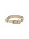 Trixie Dog Collar in Beige color