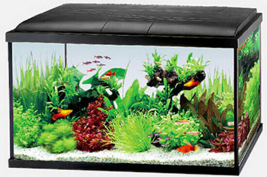 Resun Fisch-Aquarium mit Kapazität von 57Es mit Filter und 59x30x38cm