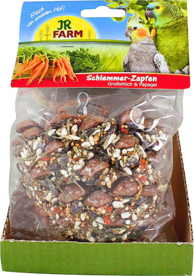 Jr Farm Giant Pine Cone Gourmets Delicious Snack All Large Parrots 195 G