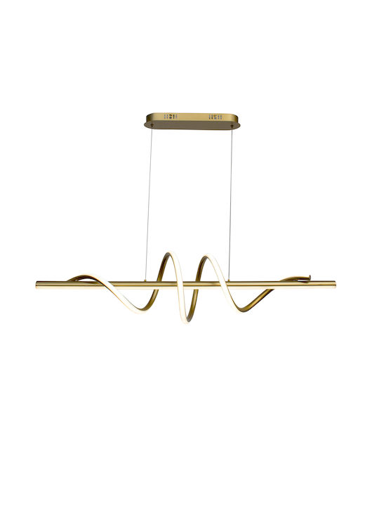 Hatzipantos Stores Pendant Light Gold Rail