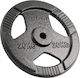 Set of Plates Metal 1 x 20kg Ø31mm with Handles