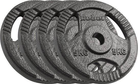 Σετ Δίσκοι Μεταλλικοί 4 x 5kg Φ31mm με Λαβές