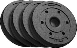 Σετ Δίσκοι 4 x 1.25kg Φ31mm