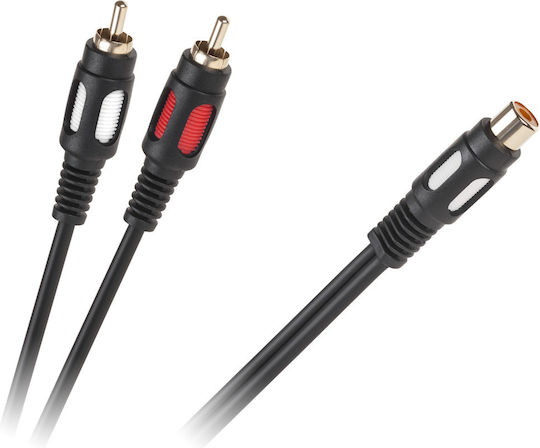 1 Rca Socket Cable 2 Rca Plugs 25cm