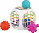 Babyono Αισθητηριακά Cube Box από Σιλικόνη για 18+ Μηνών