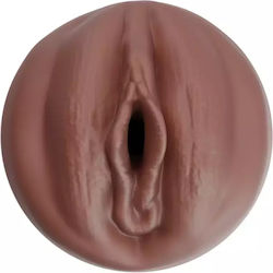 Autoblow Masturbator Vagina