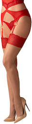 Cupide Desir Stockings 2xl/3xl